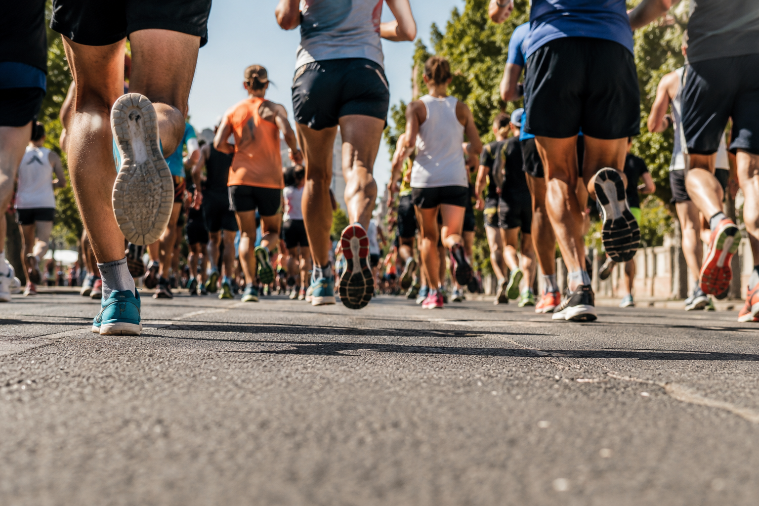 A large group of runners